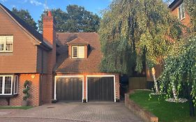 Beautiful Annex Apartment With Off Street Parking